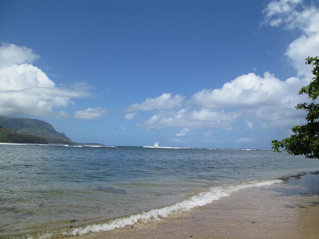 Princeville Sealodge Unit D-4 Camera foto